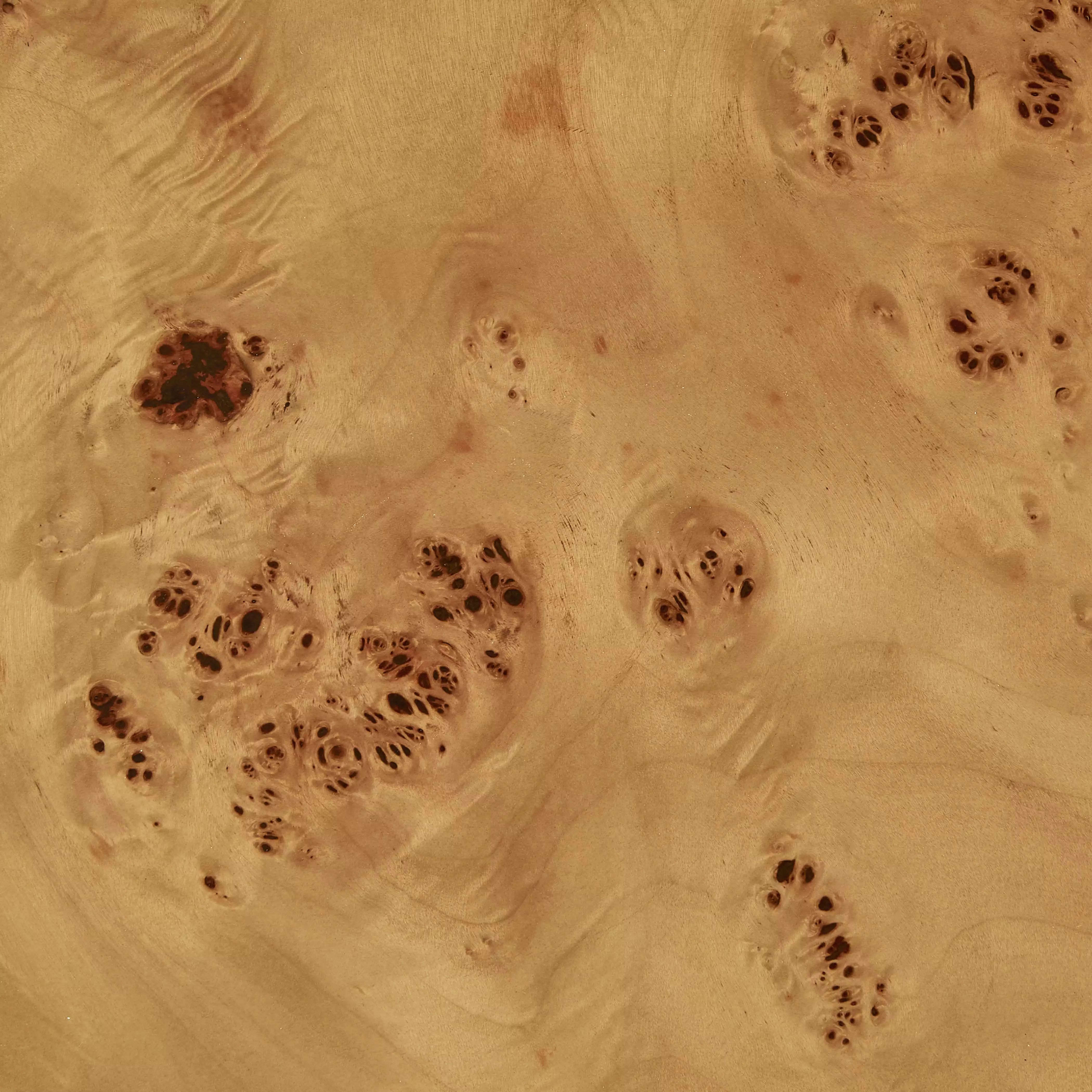 Dalton Round Wooden Side Table | Burl Wood - Image 3
