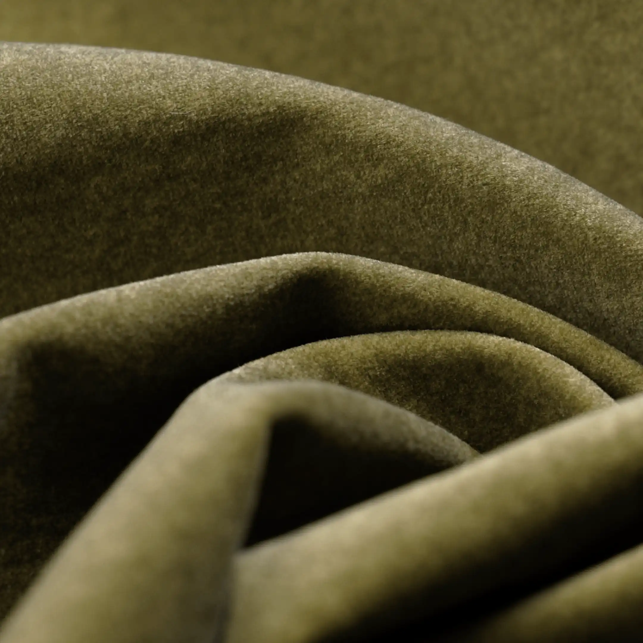 Bellamy Carver Dining Chair | Moss Green Sustainable Mohair Velvet - Image 4